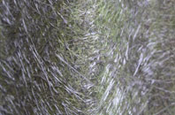 Englesea Brook fibreglass roof work